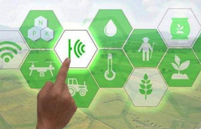  ■澳门十大棋牌排行榜最新■海岳智粮·粮企云产品解决方案